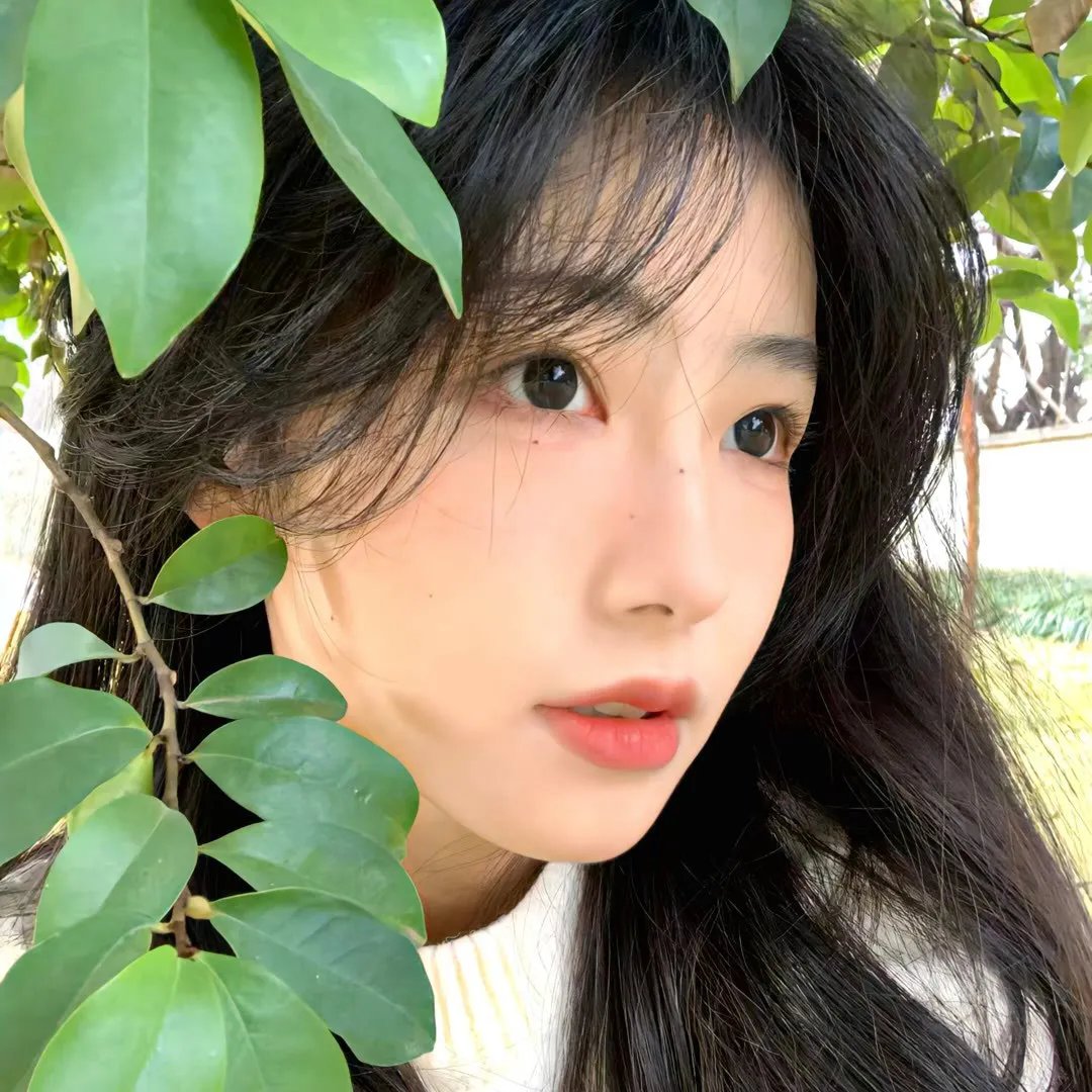 命运之夜